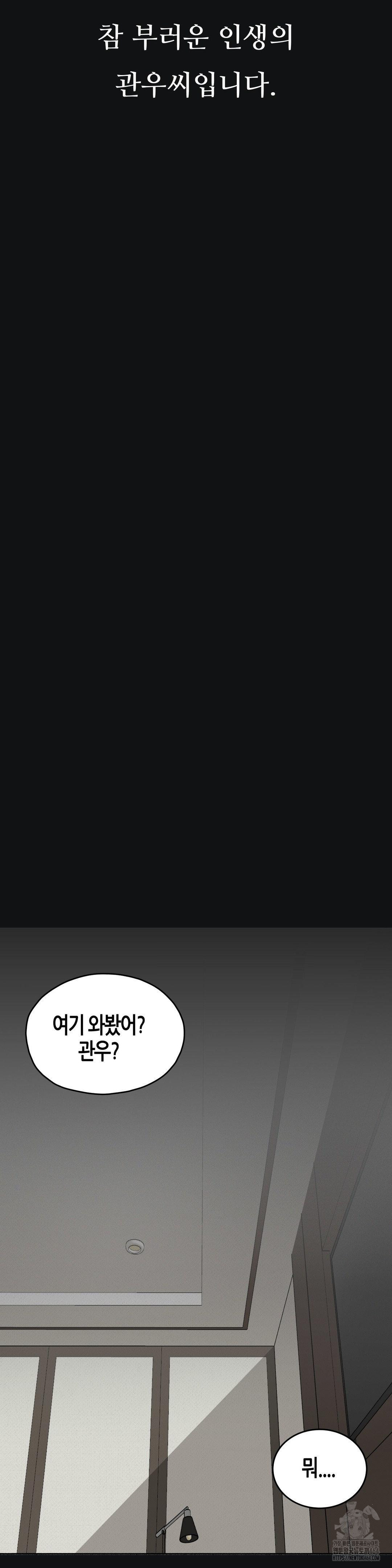 Observation Diary Raw