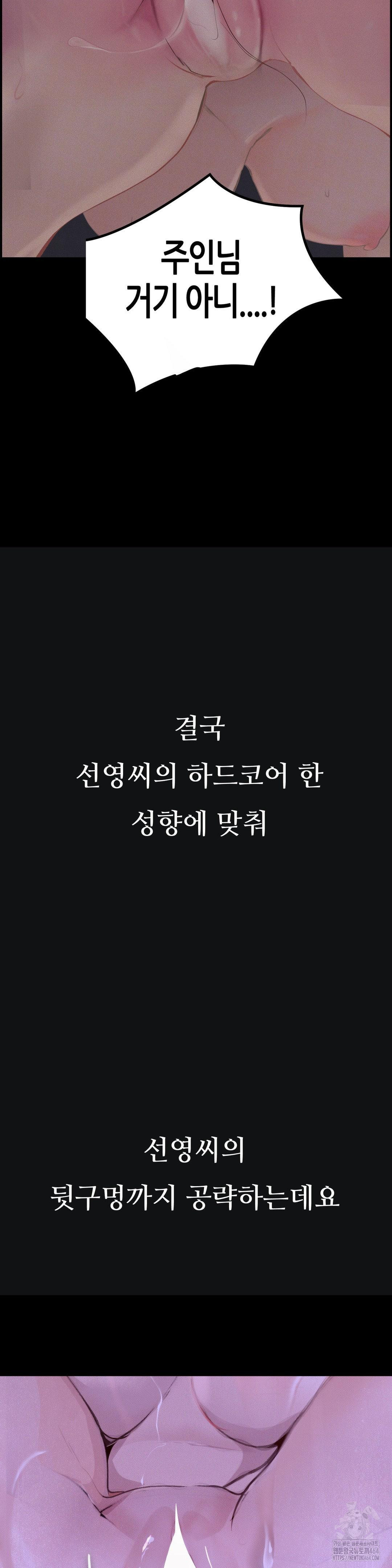 Observation Diary Raw