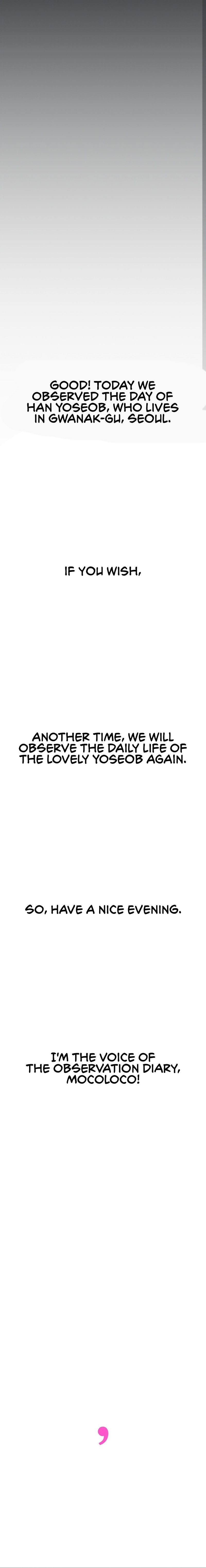 Observation Diary