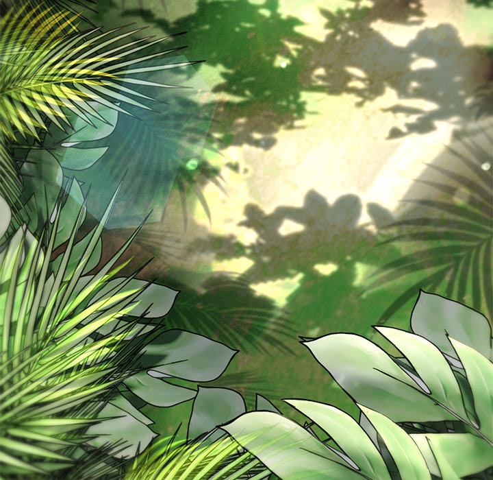 Master of the Spotlight