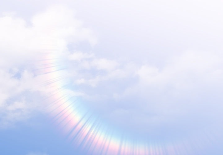 Office Shitbag Alert