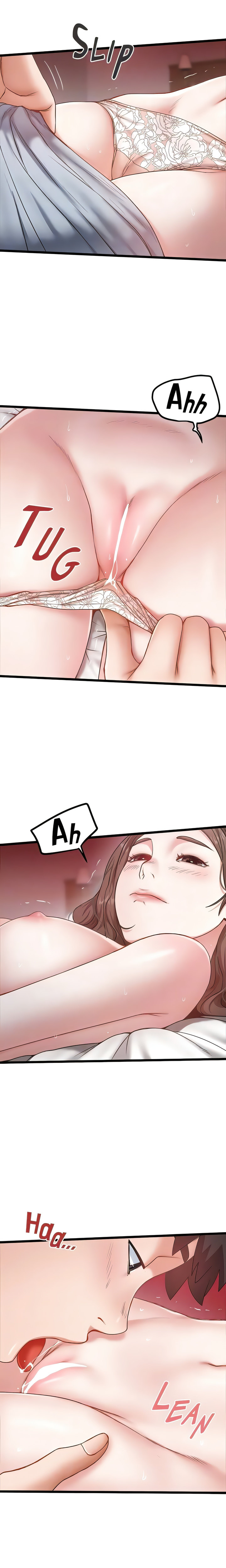 A Bachelor in the Country