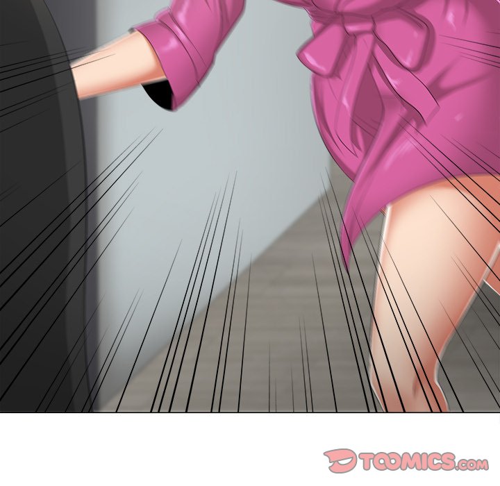 Cat Fight