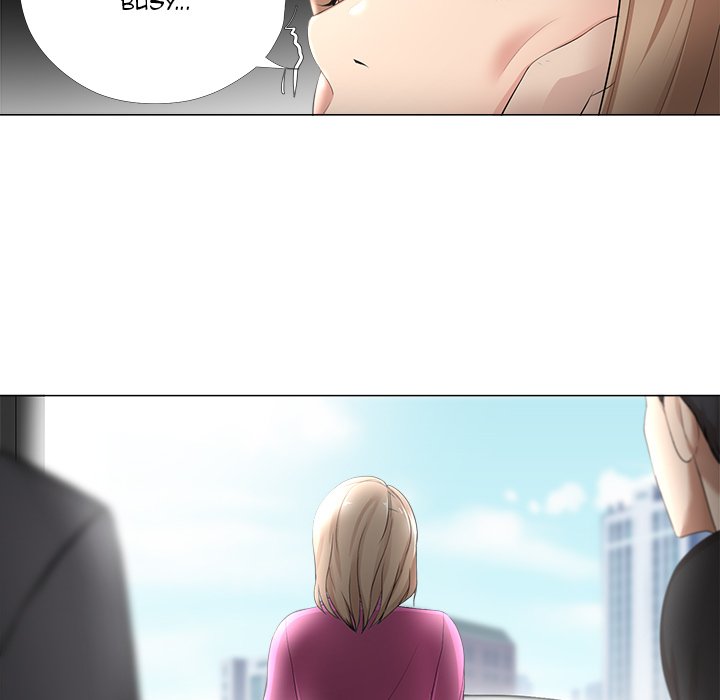 Cat Fight