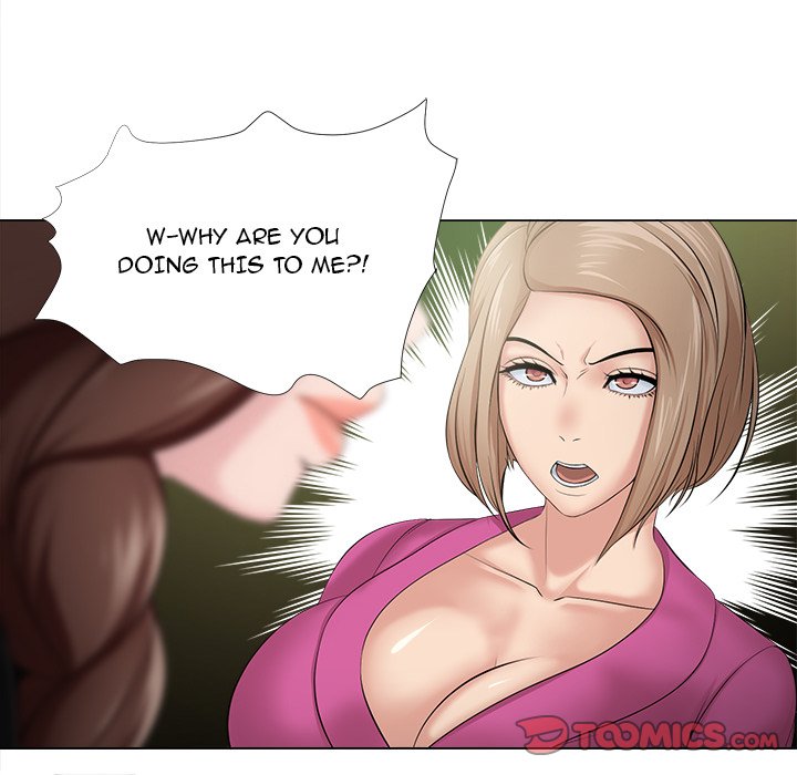 Cat Fight