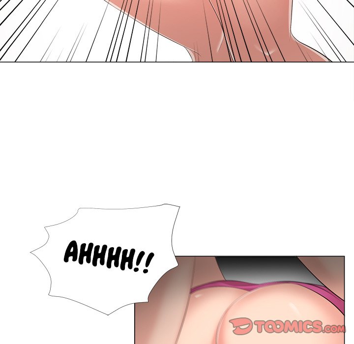 Cat Fight
