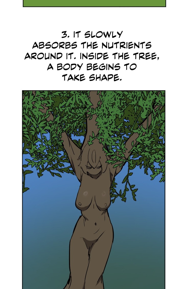 No Man’s Land