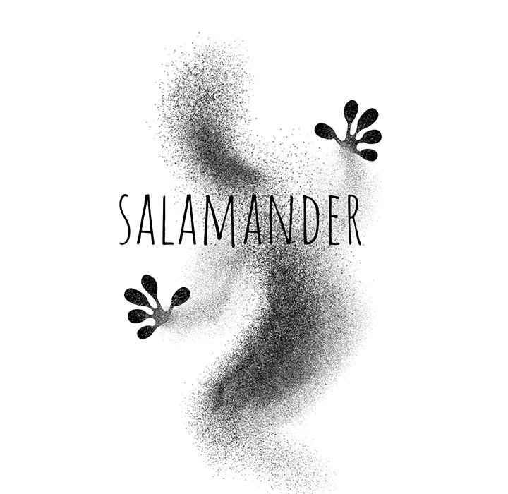 Salamander