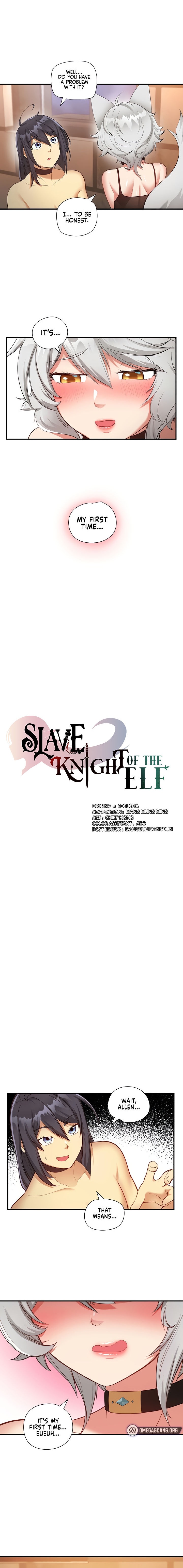 Slave Knight of the Elf