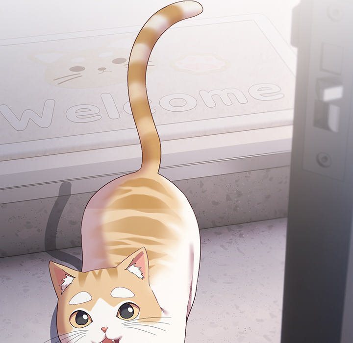 The Love Meowtchmaker