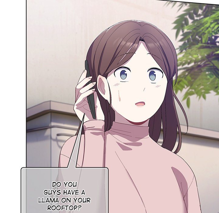 The Love Meowtchmaker