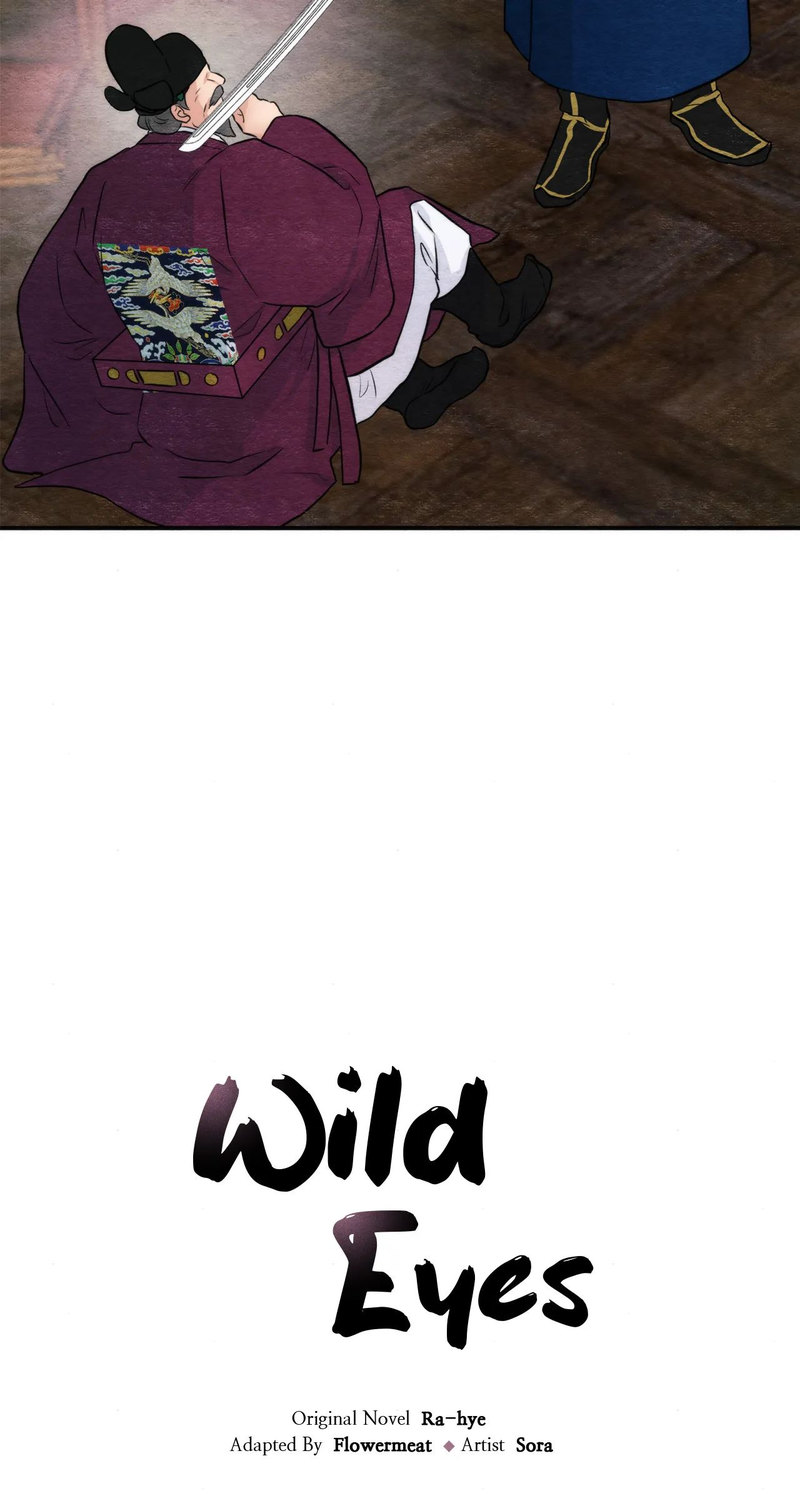 Wild Eyes